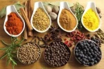 Vietnam spices herbs FOR SALES