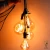 Import Vintage incandescent Edison bulb ST64 C35 T45 G80 G95  LED filament bulb antique cage clear&gold glass dimmable E12 E14 base from India