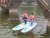Import water park pedal watercraft water bikes from China