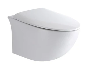 Western Modern Design White European Style Simple And Classic Wall Hung Toilet