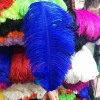 wholesale 25-30cm white ostrich feather all big sizes available