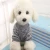 Import Wholesale Best Selling Warm Autumn Winter Wool Pet Dog Cat Dog Clothes Pet Accessories Coat Dog Clothes from China