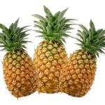 Wholesale Fresh Pineapple / Pineapple Fruit Price / Bulk Fresh Fruit Pineapple