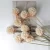 Import Wholesale high quality single head preserved flowers Windmill fruit &amp; Combretocarpus for  home decoration from China