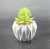 Import Wholesale Lifelike Real Touch Plastic Preserved Artificial Succulent Plants Tropical Plants from China