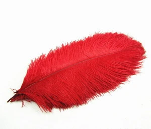 Wholesale Natural Decorative All Colors Ostrich Feathers