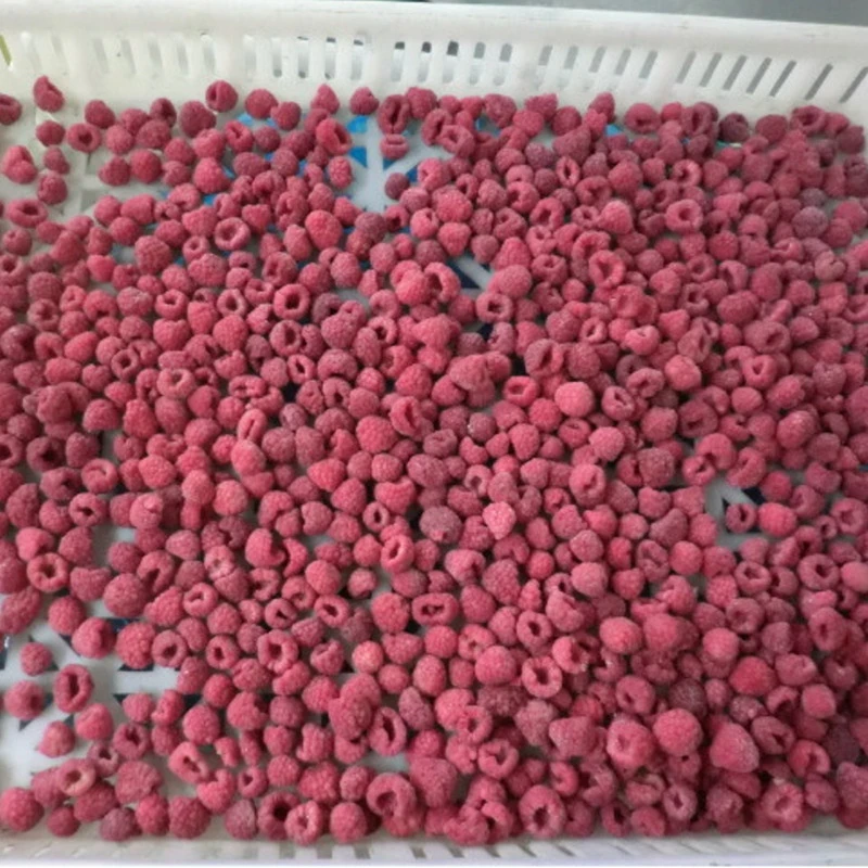 Wholesale New Crop Good Quality IQF Frozen Raspberry From China