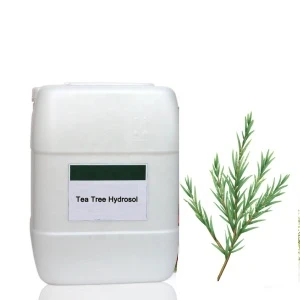 wholesale Tea tree hydrosol OEM for skin care