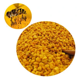 Wholesales low price Bulk organic pure fresh natural rape bee pollen powder