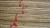 Import WY-CC 207 plastic coated bamboo cane for garden building supplies china from China