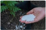 Urea