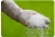 Import Urea from United Arab Emirates