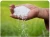 Import Urea from United Arab Emirates