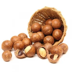 Raw Dried Macadamia Nut