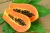 Import Papaya from Sri Lanka
