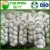 2020 New Crop Fresh Garlic From China