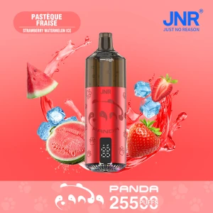 JNR Panda 25500 Strawberry Watermelon Ice | Factory Direct Wholesale Vapes | Global Delivery Shenzhen to Norway