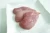 Import Grade A Brazilian Halal Frozen Chicken Breast from United Kingdom