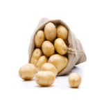 Bulk Fresh Potatoes supplier stock