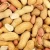 Import Peanuts, Cashew,  Almond , pecan nuts, pine nuts,Brazil Nut,Hazelnuts, Macadamia, Tiger, Pistachios, groundnut from Malaysia