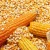 Import Argentine high-quality yellow corn from United Kingdom