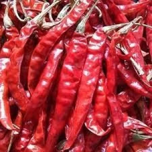 Teja / Guntur /S17 Dried Red chilli