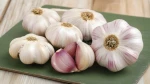 Garlic and Ginger Available
