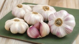 Garlic and Ginger Available