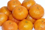 Fresh Mandarin