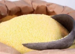 Premium Quality Organic Corn Semolina and Flour