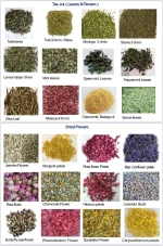 leaves flowers spices fruits