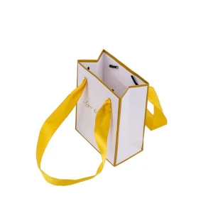 small Gift paper bags with Border Line