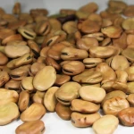 Fava Beans/Broad beans