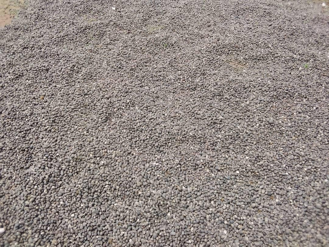 Buy Palm Kernel Shells from Moyers L&E Ltd, Nigeria | Tradewheel.com