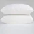 Import Pongee quilting laminated fabric waterproof pillow protector from China