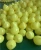 Import Luminous inflatable balls, LED Christmas glitter balls from China