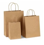 Paper Bags