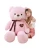 Ribbon  UNSTUFFED TEDDY BEAR Kawaii plush doll for girl