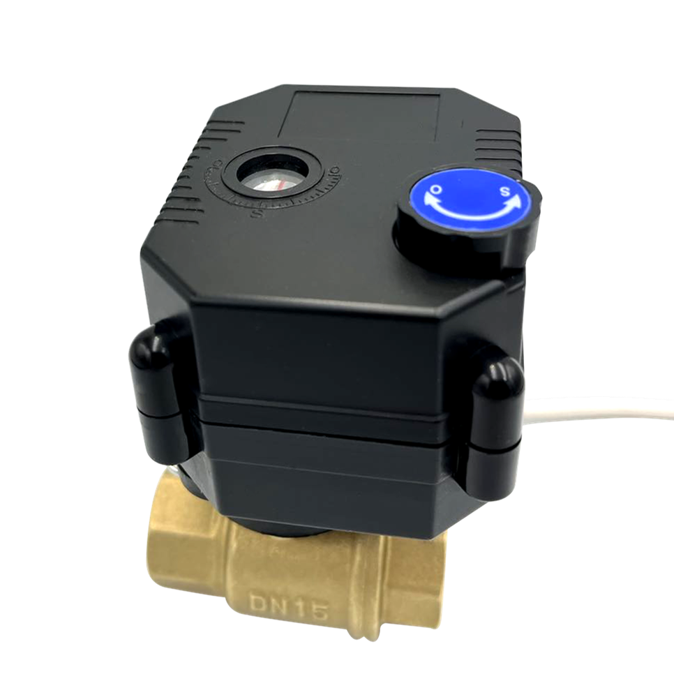 Buy Stainless Steel Brass Motorized Flow Control Valve 12v Electric ...