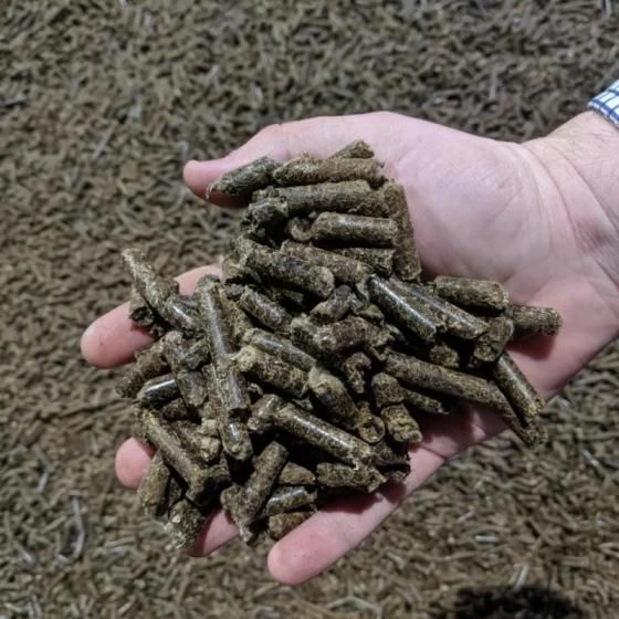 Buy Sunflower Meal /palm Kernel Cake / Sunflower Seed Meal For Animal