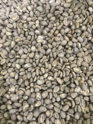 Arabica Sumatra Aceh Gayo Coffee