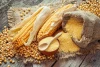 Buy Maize Online from a Trusted International Maize Supplier