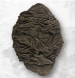 SALTED OMASUM