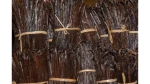 Vanilla Bean Gourmet