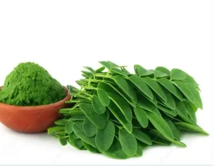 Health Supplement Organic Moringa Powder Moringa Leaf Extract Moringa Powder