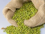 High Quality Green Mung Beans with Lower Price