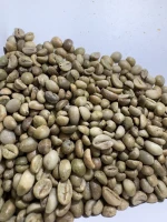 Robusta Dampit Green Coffee Beans