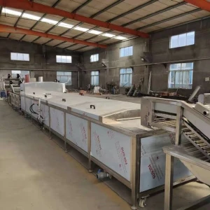 Commercial blanching machine pasteurization machine vegetables fruit blanching thawing wholesale price