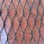Import AISI 316 Stainless Steel Wire Rope Mesh For Zoo Mesh from China