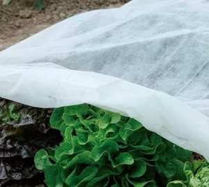 Nonwoven Fabric Used in Agriculture